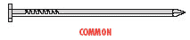 common nail